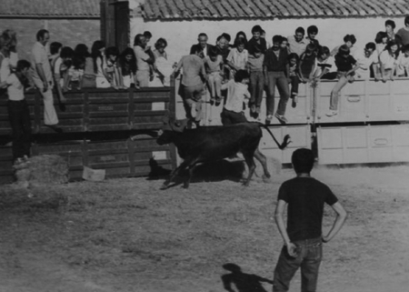Vaquillas en Torralba de los Sisones.