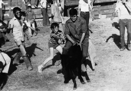 Vaquillas en Torralba de los Sisones.