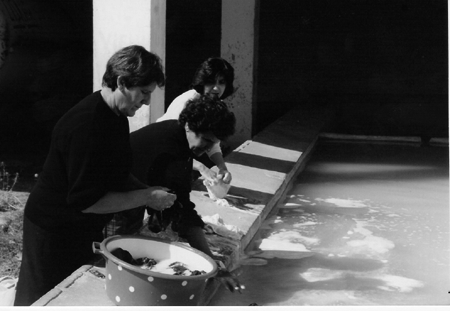 Mujeres lavando en el lavadero. Torralba de los Sisones.