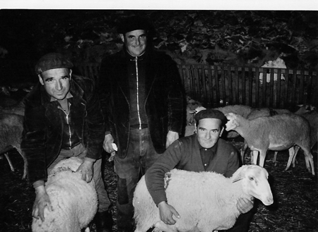 Vecinos de Torralba de los Sisones junto a un rebaÃ±o de ovejas.