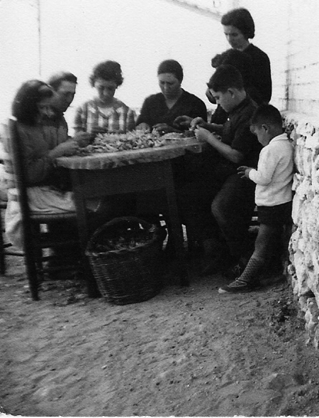 Grupo esbrinando azafrÃ¡n. Torralba de los Sisones.