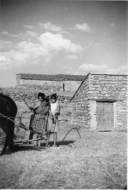 Mujeres trabajando en el campo. Torralba de los Sisones.