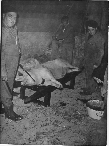 Hombres en un dÃ­a de matanza. Torralba de los Sisones.