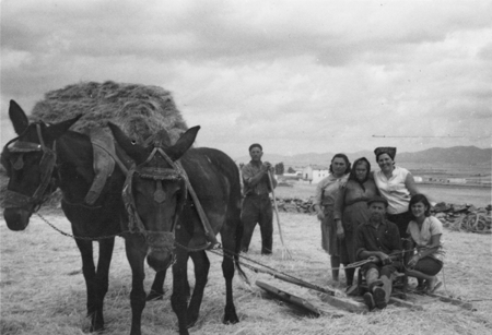Grupo trillando. Torralba de los Sisones.