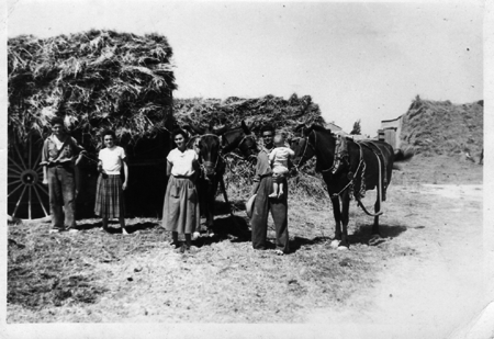 Trabajando en el campo. Torralba de los Sisones