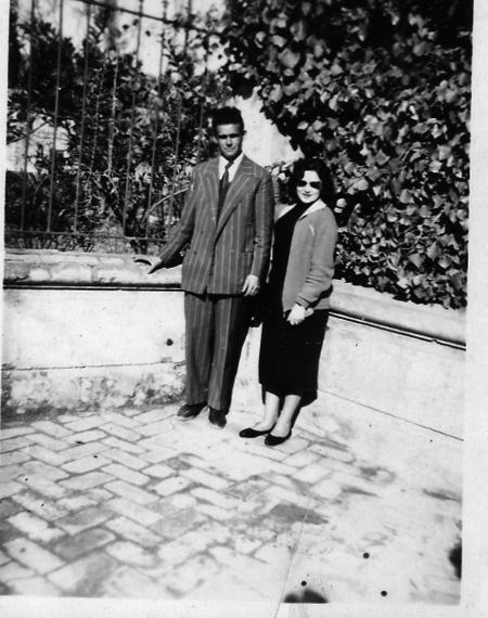 Pareja junto a la verja. Torralba de los Sisones
