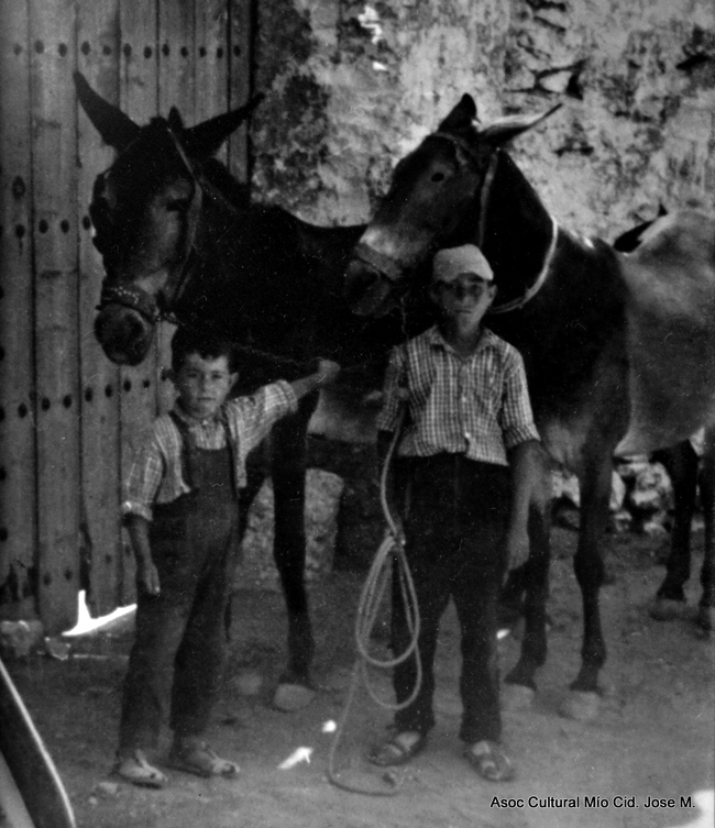 Dos niÃ±os con dos burros