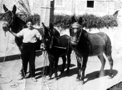LLevando a abrevar los machos. Torre los Negros.