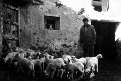 Junto a los corderos en Torre los Negros.