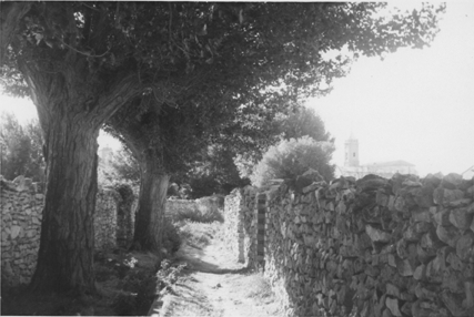 Grupo de acacias desaparecidas. OdÃ³n