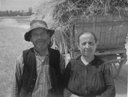 Familia Campo FrÃ­o. Cella.