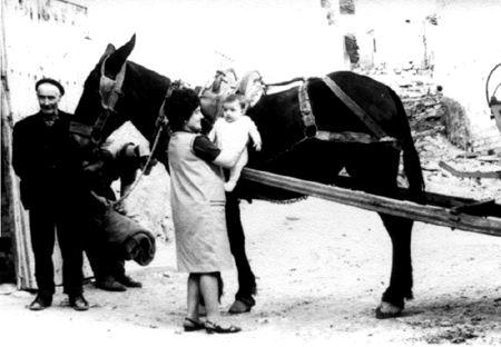 La familia de Carmen Blasco. Cella.