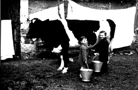 Maruja y Baldomero con la vaca. Cella