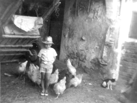 NiÃ±o en el corral con las gallinas. Cella