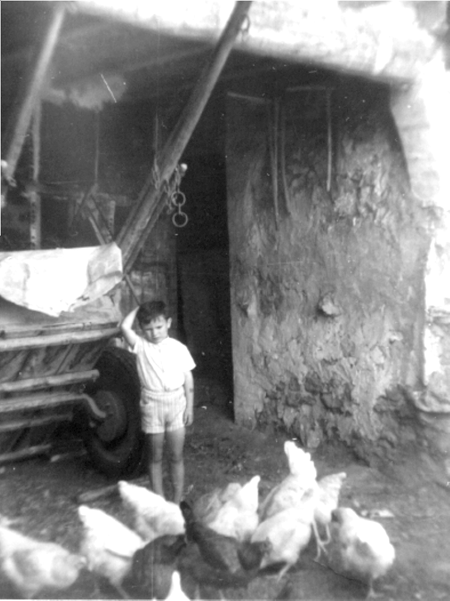 NiÃ±o en el corral. Cella