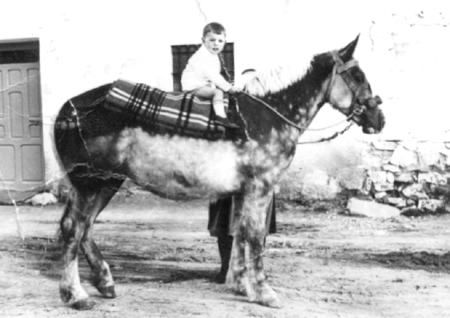 JosÃ© GÃ³mez a caballo. Cella