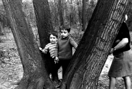 Miguel y MartÃ­n entre los troncos de los Ã¡rboles. Cella