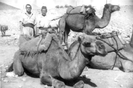 Justo junto a dos camellos.