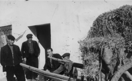 Vecinos del Castillo. Cella