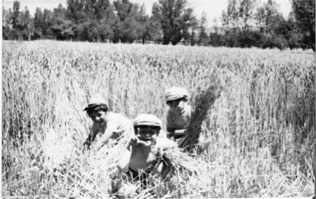 Tres niÃ±os vecinos de Villahermosa.