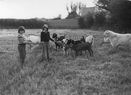 Olga, Loli y las cabras de Baldomero. Villahermosa.