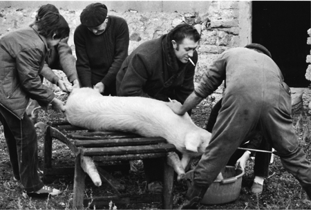 Matanza del cerdo. Villahermosa