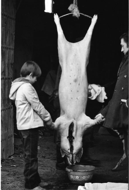 Matanza del Cerdo. Villahermosa