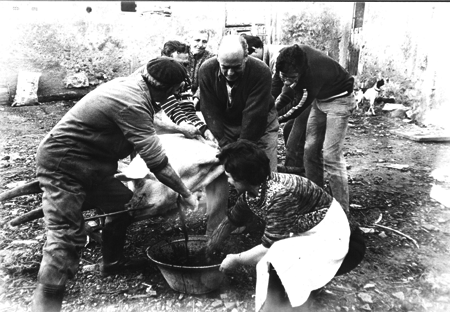 Matanza del cerdo. Villahermosa