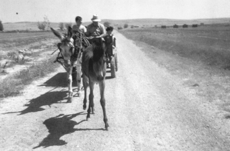 JosÃ© y nietos sobre un carro. Villarquemado.