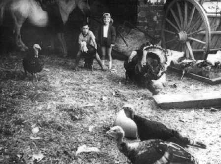 NiÃ±os en el corral. Villarquemado.