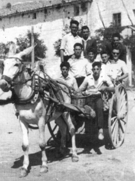 Quintos en un carro. Villarquemado.