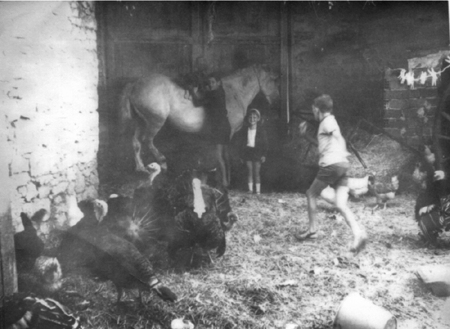 NiÃ±os en el corral. Villarquemado.