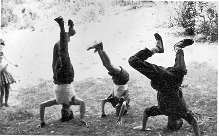 Haciendo "piculinadas" en el Soto. Villar del Salz.