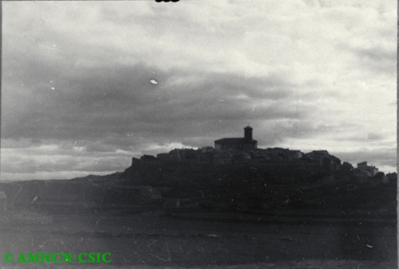 Vista general de Pozuel