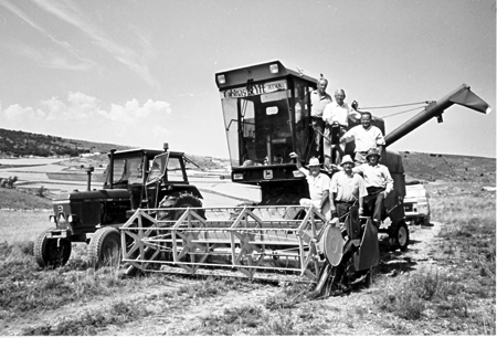 Trabajando con una cosechadora. Villarejo.