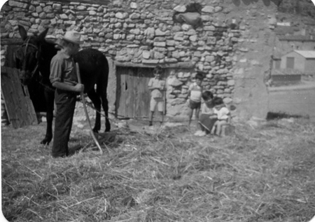 Vecinos de Monforte junto a un caballo.