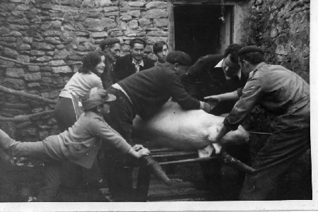 DÃ­a de matanza en Monforte.