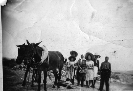 Trabajando en el campo con caballos. Monforte.