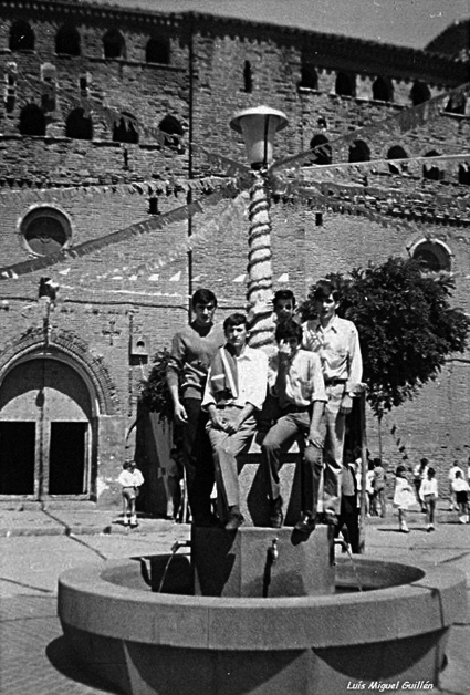 Grupo de fiestas en la fuente