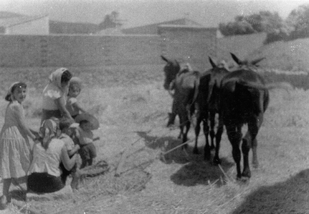 Mujeres y niÃ±os dan una vuelta en el trillo. Daroca.