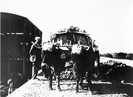 Carga de remolacha en la estaciÃ³n de ferrocarril de Daroca.