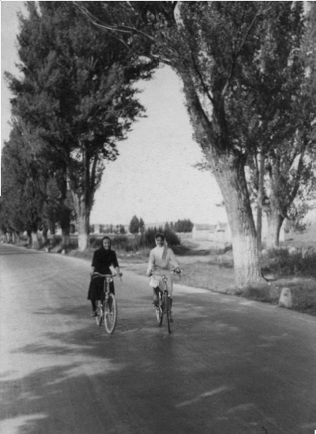 Bicicletas en una carretera con chopos. Torremocha.