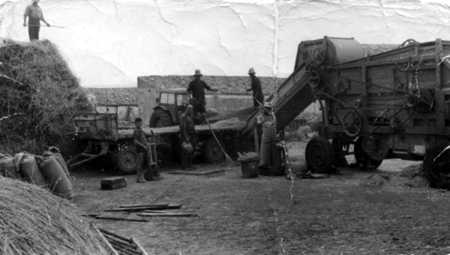 Labores de trilla en Torremocha.