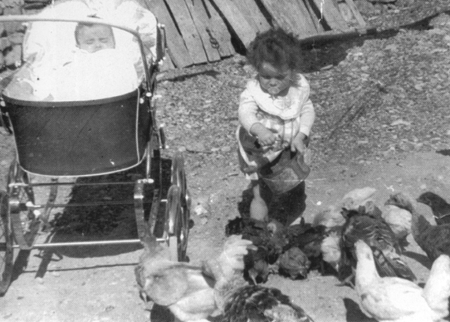 NiÃ±a de Villarquemado dando de comer a las gallinas.