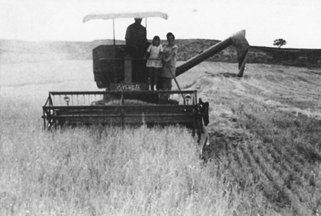 La siega en RetascÃ³n.