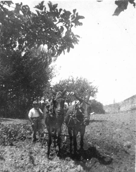 Vecino de Lagueruela trabajando en el campo.