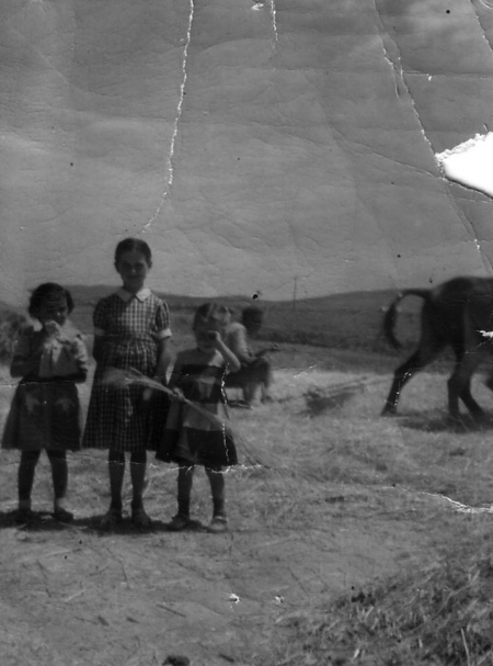 Trillando en Badules.