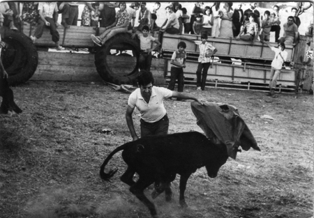 Vaquillas en Badules.