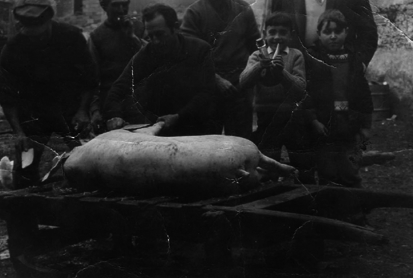 En la matanza. Badules.