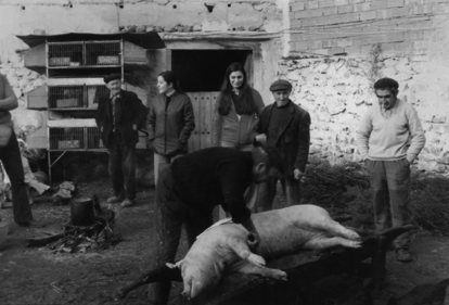 En la matanza. Badules.